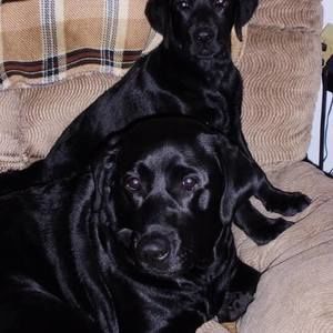 Meet your Posher, Jo